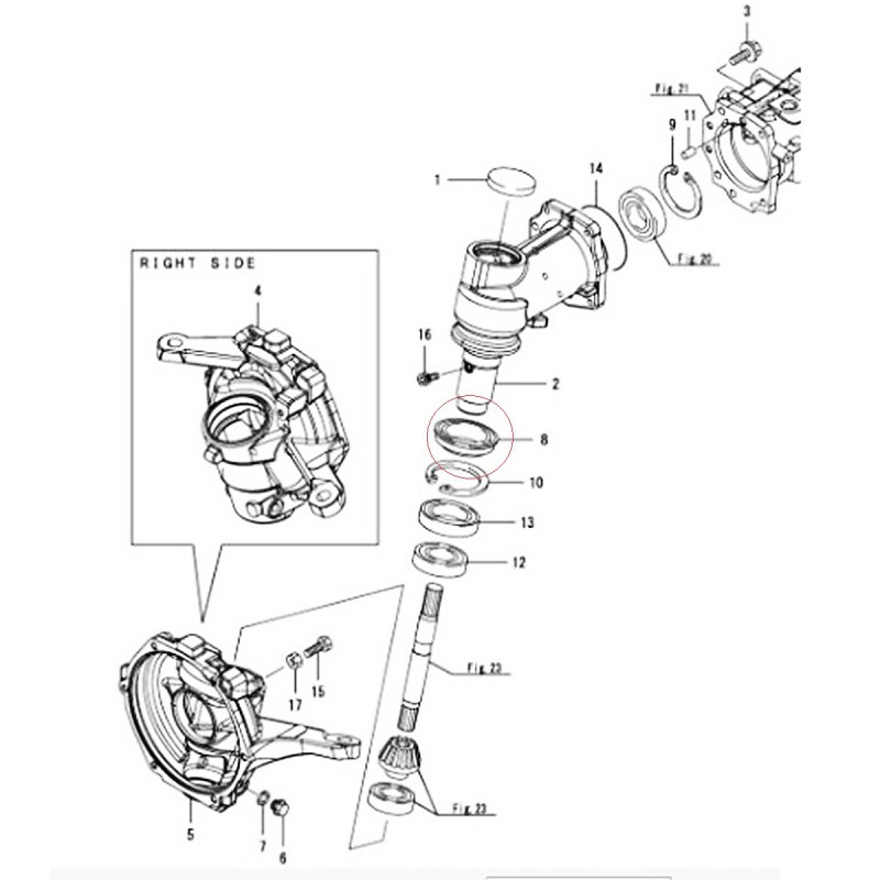 zdjecie-2
